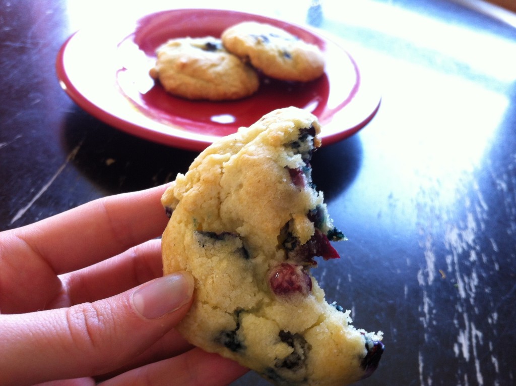 blueberry sugar cookie