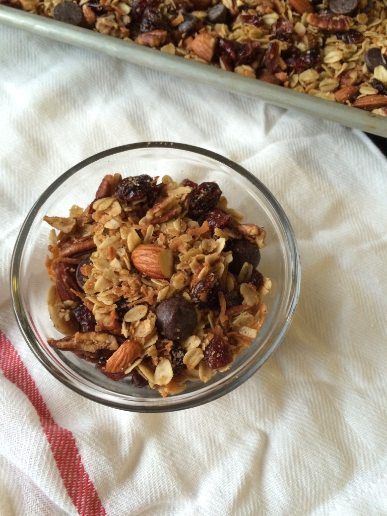 Coconut Chocolate Chip Granola with Cranberries and Nuts * Once In A Blue Spoon